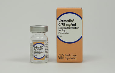 can vetmedin and furosemide be taken together